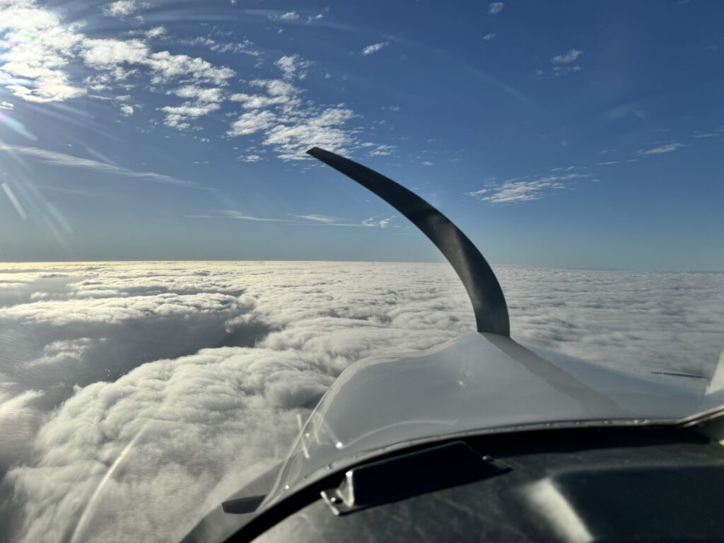 Flug für die Seele über Mannheim und die Pfalz